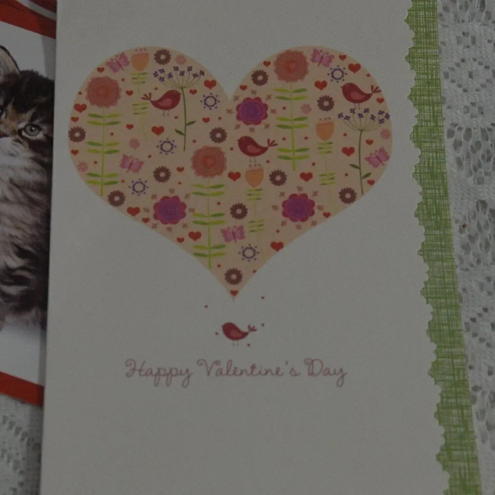 Valentines Day Cards 15 Assorted Brand New with Envelopes